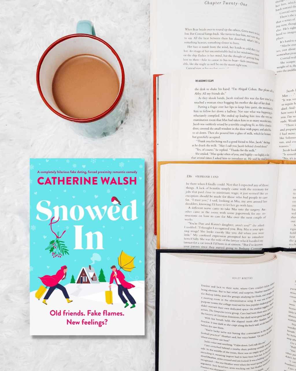 Snowed In By Catherine Walsh Book&nbsp;Review