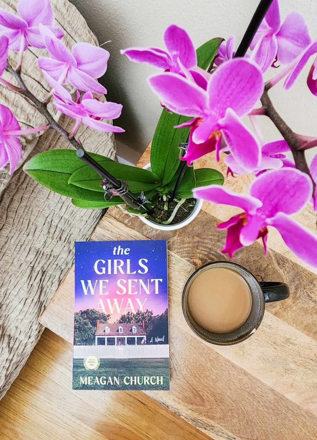 The Girls We Sent Away by Megan Church Book&nbsp;Review