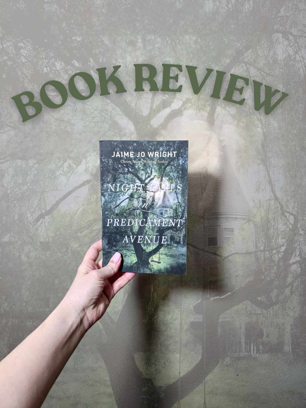 Night Falls on Predicament Avenue by Jaimie Jo&nbsp;Wright