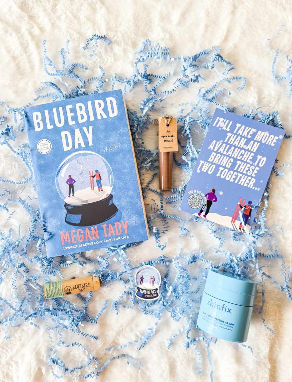 Bluebirdy Day by Megan Tady Book&nbsp;Review