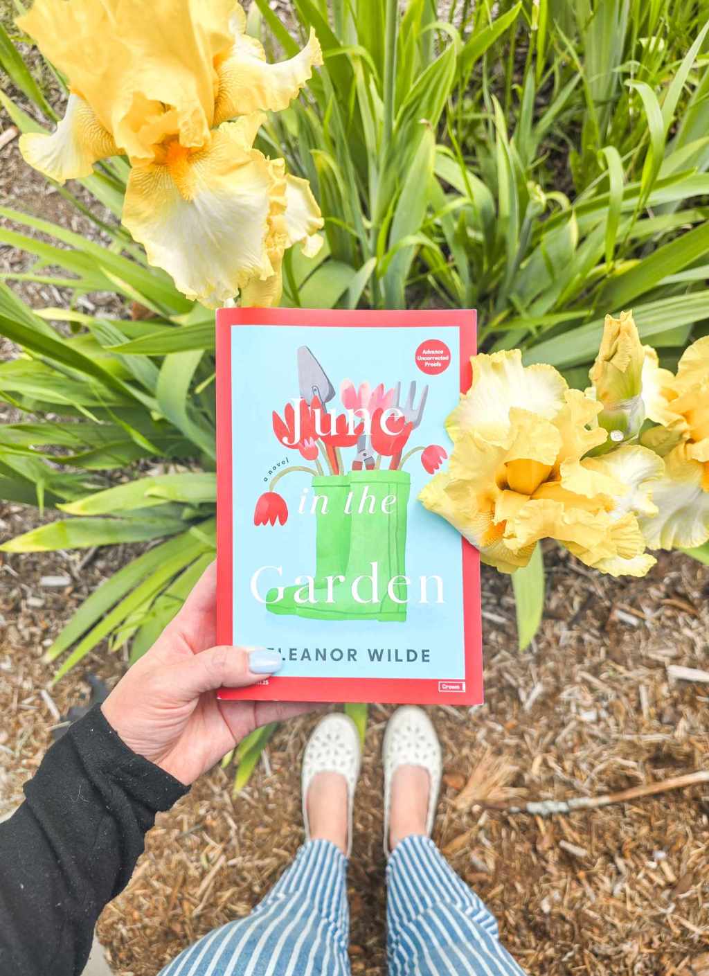 June in the Garden by Eleanor Wilde Book&nbsp;Review