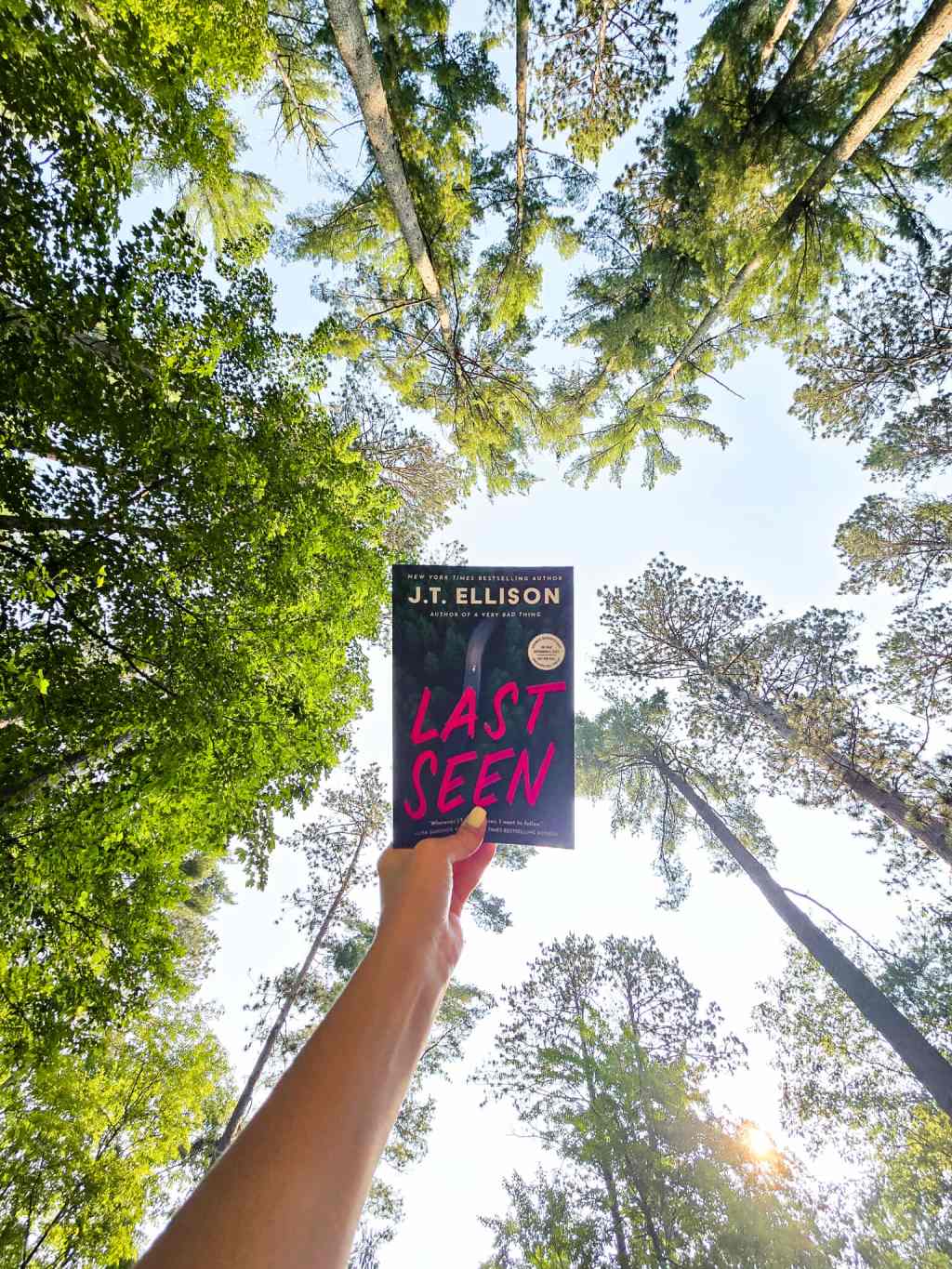 Last Seen by J. T. Ellison Book&nbsp;Review