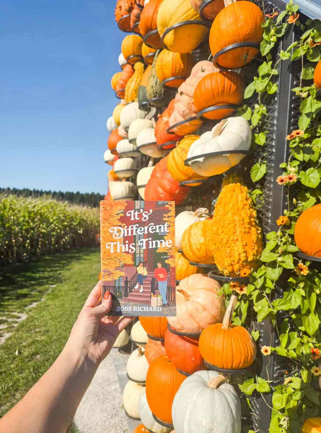 It’s Different This Time by Joss Richard Book&nbsp;Review