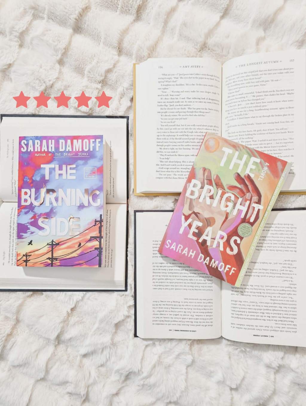The Burning Side by Sarah Damoff Book&nbsp;Review