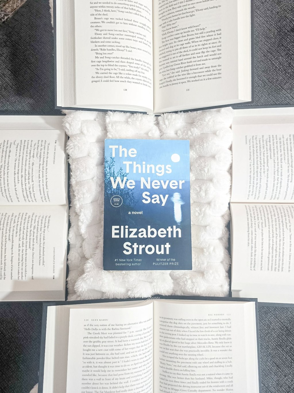 The Things We Never Say by Elizabeth Strout Book Review